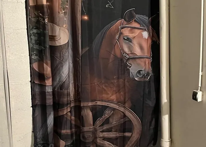 En Centre-ville Appartement *